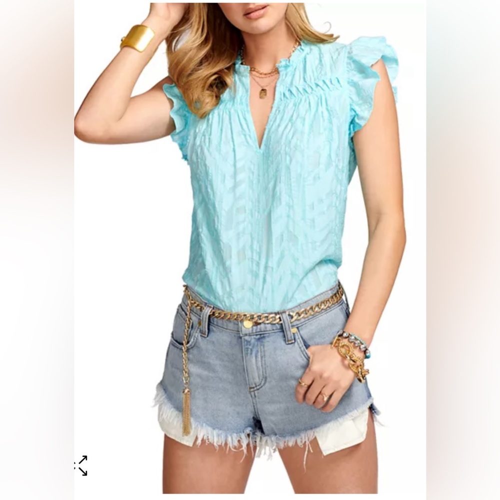 RAMY BROOK Wendy Ruffle Top, Ruffle and a V-neck with a Flutter Sleeve in Small